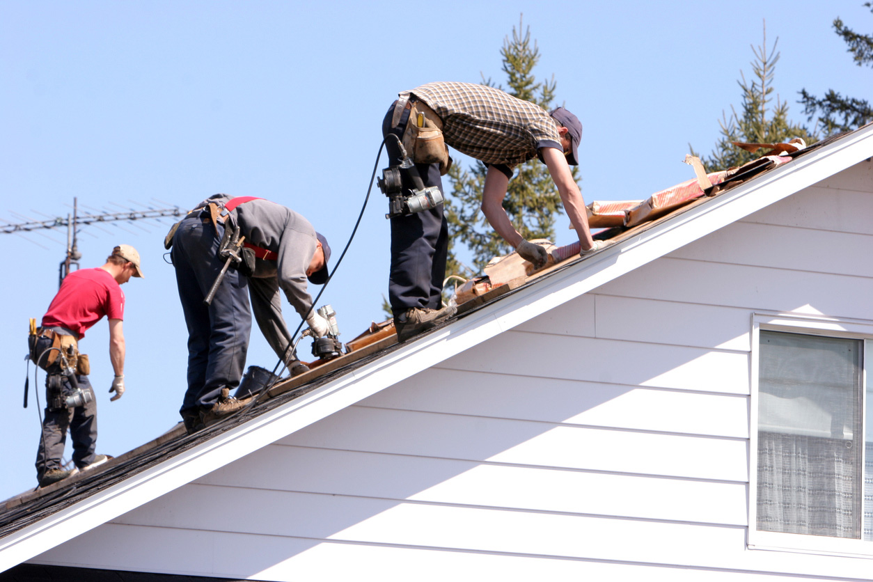 Prevent the Buckling of Asphalt Shingles: Tips from the APA